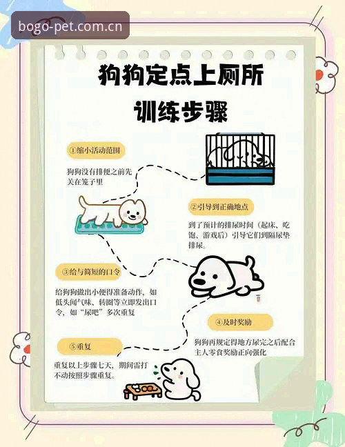 博狗体育官网注册实用指南：从零开始轻松掌握操作全流程
