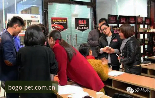 博狗体育官网登录入口全面解析：资深用户分享最新博狗登录体验与实用技巧