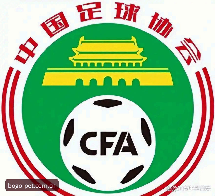 足球反腐第三批禁足名单深度解读：17人终身禁赛背后的行业整顿实用分析指南